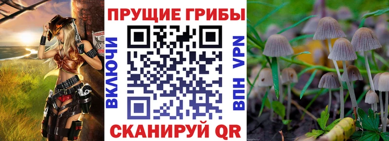 Галлюциногенные грибы GOLDEN TEACHER  мега ONION  Курган  сколько стоит 