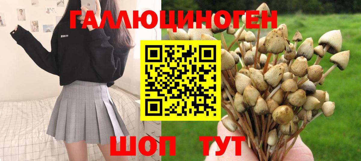 Галлюциногенные грибы прущие грибы  Курган 