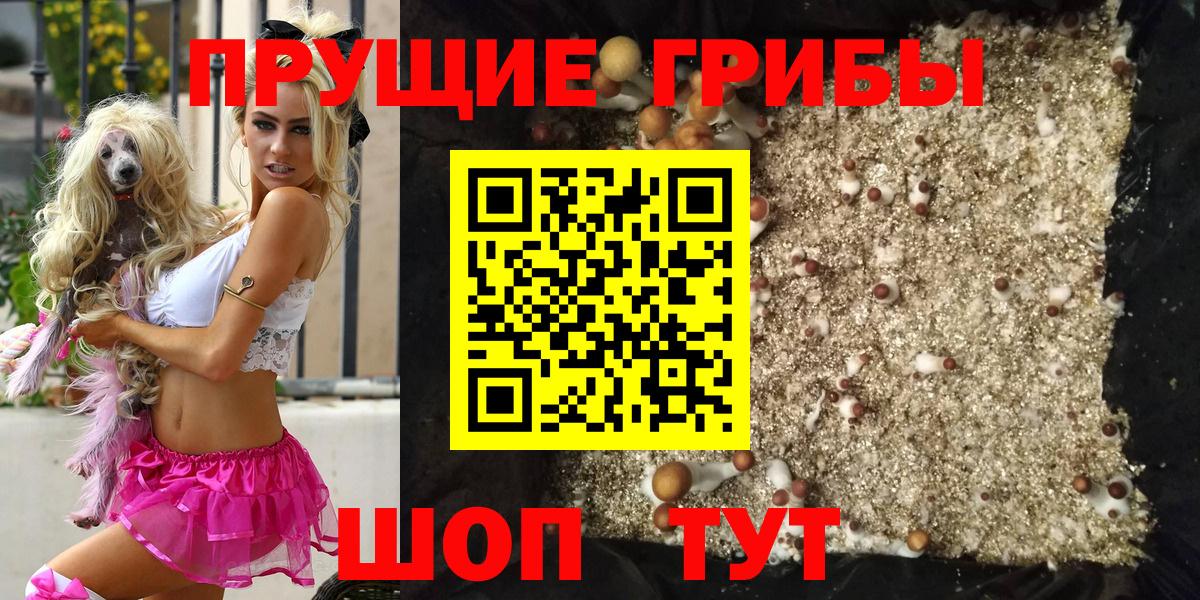 Галлюциногенные грибы ЛСД Курган