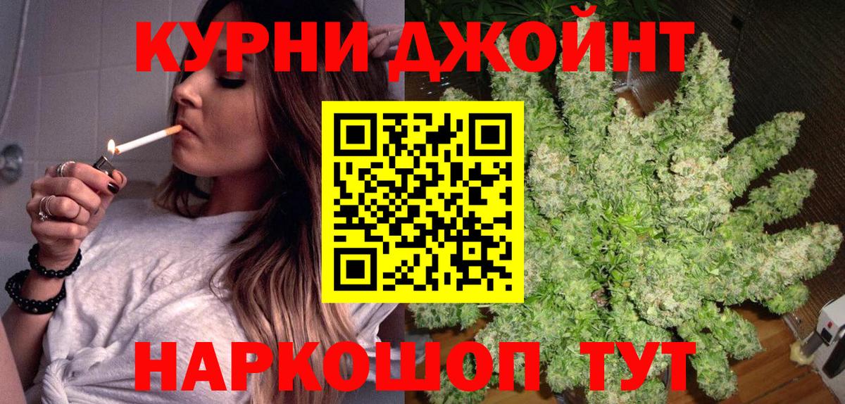 Конопля планчик Курган